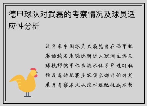 德甲球队对武磊的考察情况及球员适应性分析