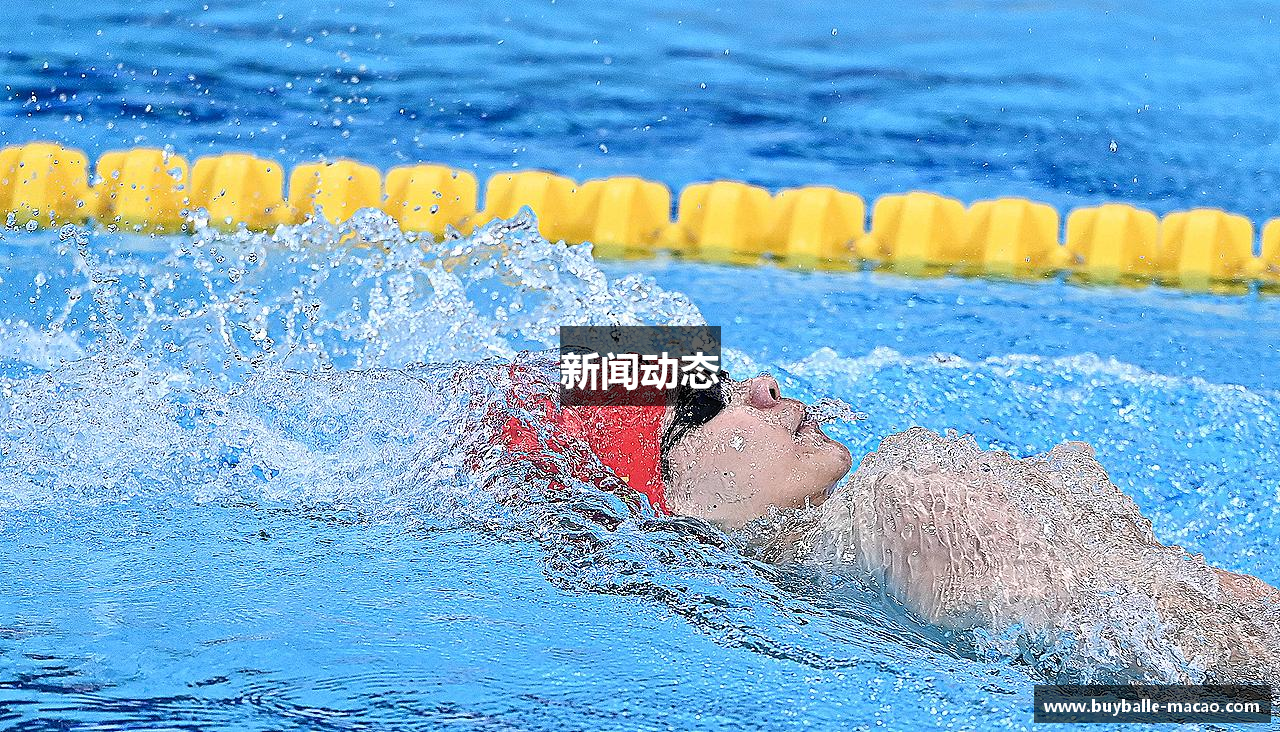 新闻动态